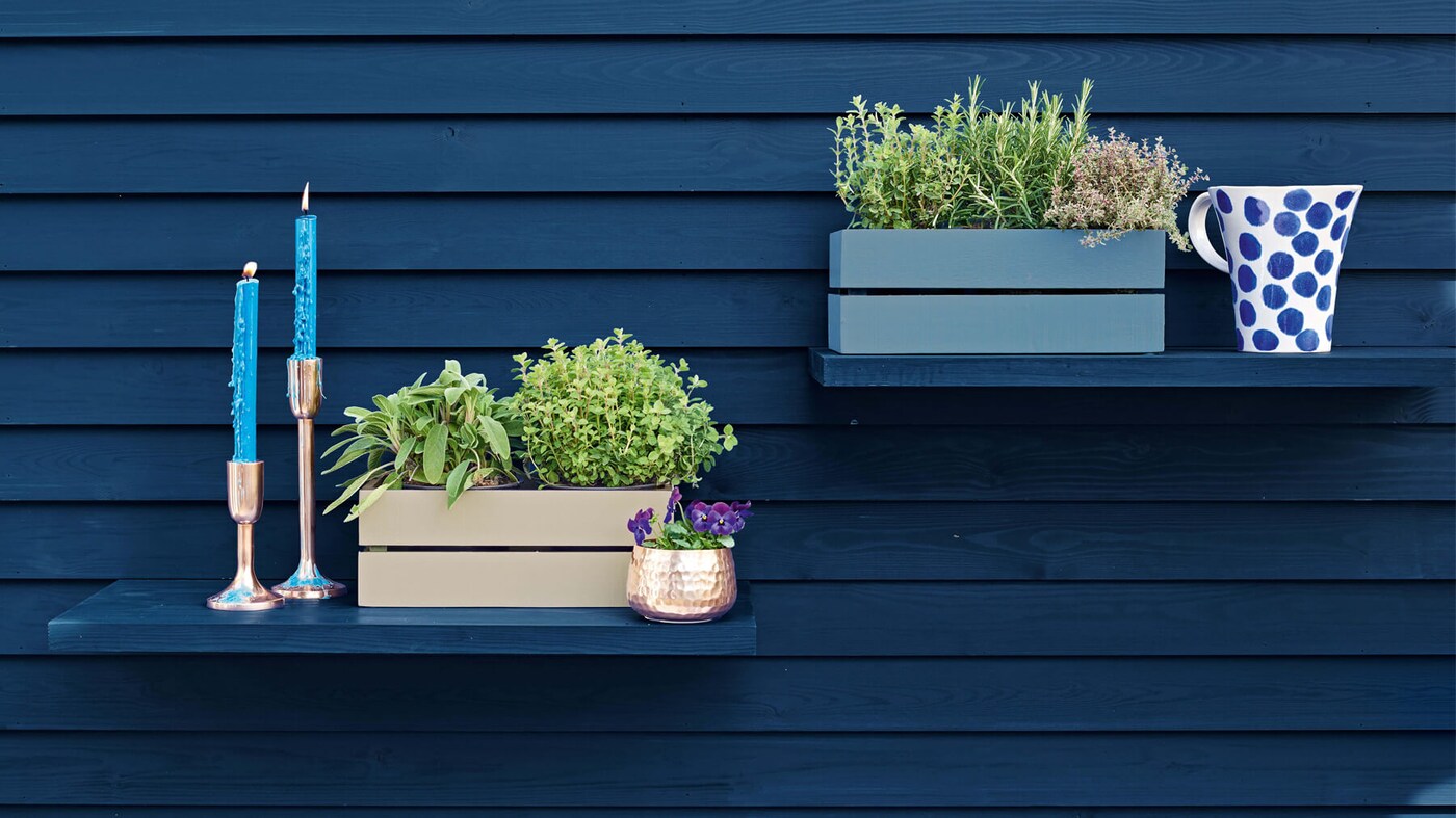 DIY Sơn Chậu Cây: Trang Trí Sân Vườn Độc Đáo Cho Mùa Xuân